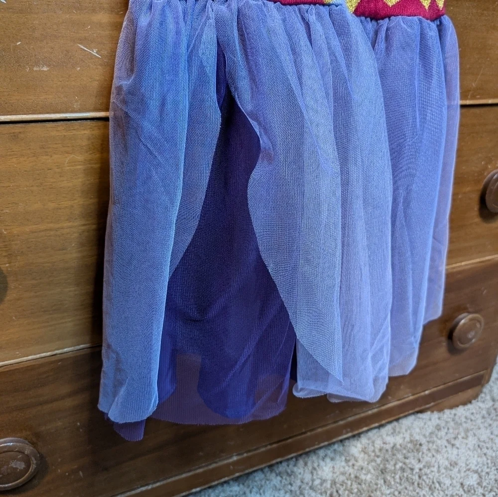 Disney Wish Asha Dress Costume Full Tulle Skirt